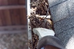 When Should You Replace Your Gutters After Storm Damage?