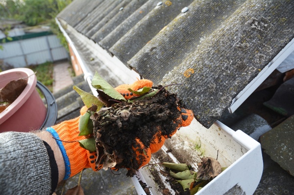 How to Protect Your Gutters from Storm Debris: Essential Tips for Homeowners