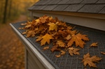 This Fall, Give Your Gutters the Upgrade They Need: Covers